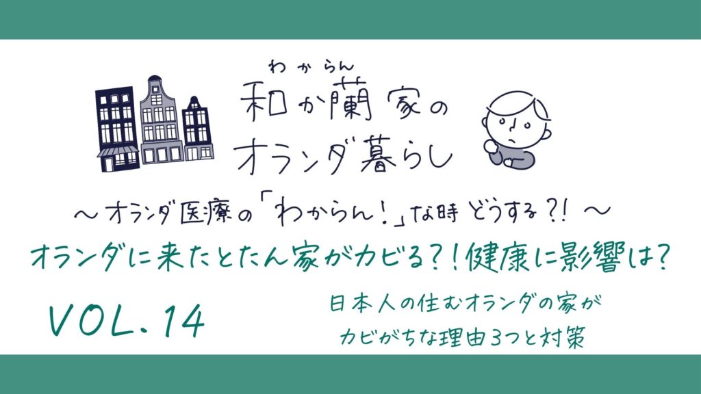 オランダに来たとたん家がカビる？！健康に影響は？日本人の住むオランダの家がカビがちな理由３つと対策