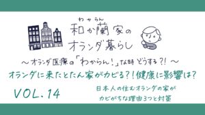 オランダに来たとたん家がカビる？！健康に影響は？日本人の住むオランダの家がカビがちな理由３つと対策